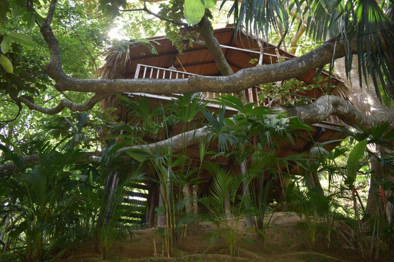 EcoHostal Rio Piedra El Zaino Exterior foto