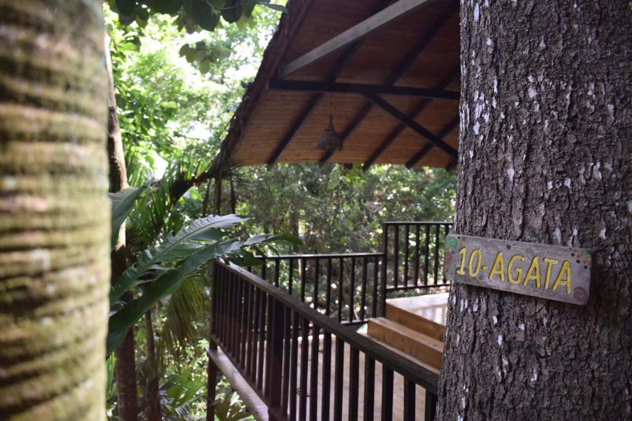 EcoHostal Rio Piedra El Zaino Exterior foto