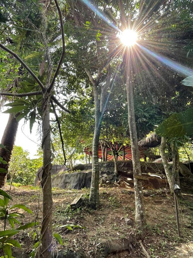 EcoHostal Rio Piedra El Zaino Exterior foto